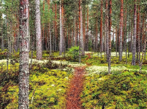 Частный дом в Терву