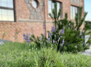 Отель Альфа Гарден