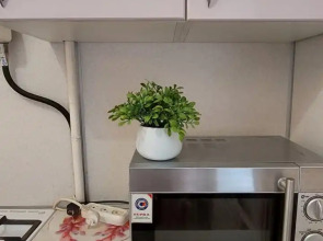 Квартира рядом Автовокзал Округ Галле