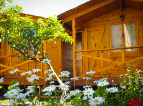 База отдыха Теремки