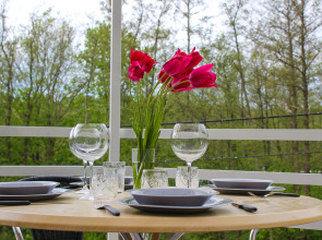 Апартаменты в доме на Ольховом