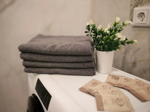 Квартира Комфорт-класса в Центре