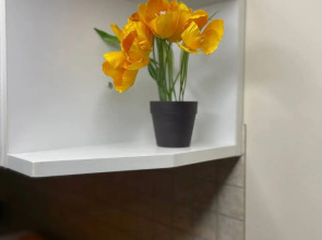 Апартаменты В самом сердце Ярославля