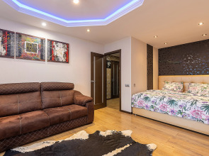 Тихие апартаменты  в центре города, ул.Горького 154. Сова-Дом