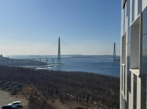 Квартира Уютная с видом на Русский мост