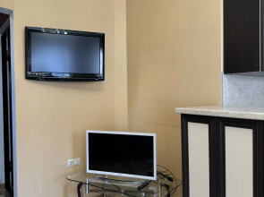 Апартаменты в центре 1