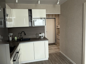 Квартира уютная напротив Театра оперы и балета