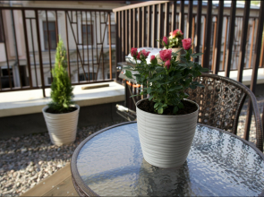 Апартаменты Lux апартаменты в премиальном ЖК в 2-х км от Кремля