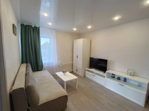 Квартира Elena Apart