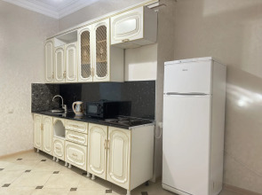 Квартира на проспекте Петра I 121