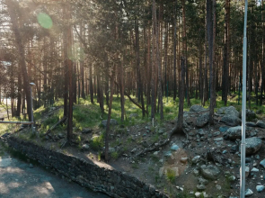 Апартаменты Семейные с Красивым Видом в Сосновом Лесу от Квартирукинг