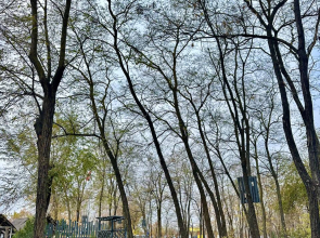 Мини-отель Евразия Парк