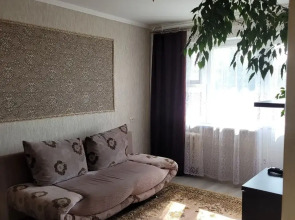 Апартаменты двухкомнатные в центре у реки