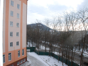 Апартаменты Однокомнатная квартира на Московской, 101