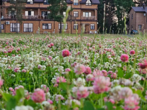 База Отдыха Озерная