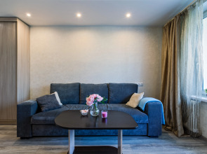 Апартаменты Шикарная квартира 1 комната