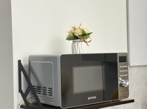 Апартаменты Уютная студия в московской новостройке