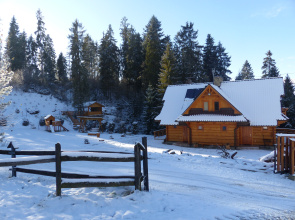 Domekpodhowyzem Apartments