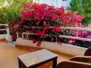 Отель Viking Club