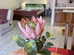 Апартаменты Savelij Apartman