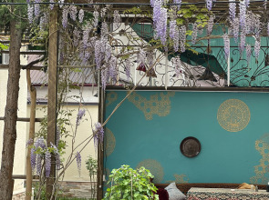 Отель Zahid Inn