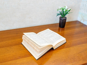 Апартаменты Сладких Снов на Толмачёва 17