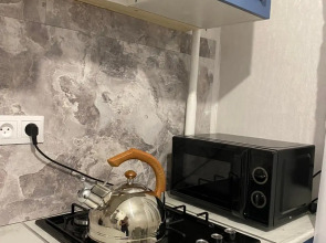 Квартира  на  Ольгинской  набережной  9