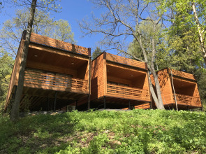 Отель Ruza Forest