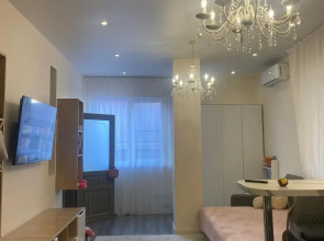 Квартира Манин 365