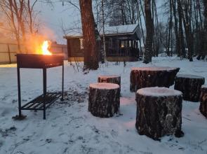 Частный Дом Уютный Домик в Лесу у Пруда