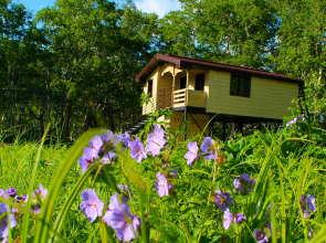 Kamchatka Magic Wood Mini-Hotel