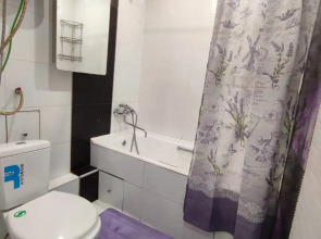 Апартаменты Калинина 49