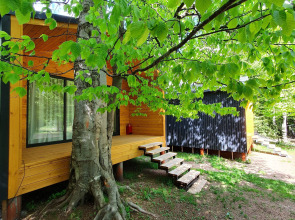 Шале Сияние Family Сlub