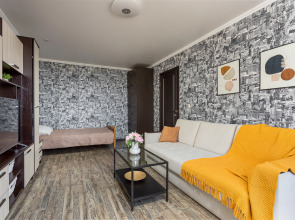 Апартаменты двухкомнатные недалеко от центра и парка