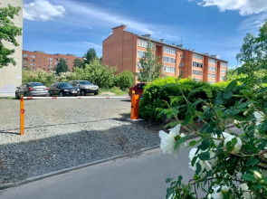 Трехкомнатные апартаменты Live in Karelia на Машезерской 5