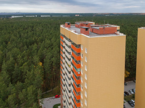 Квартира с окнами на лес