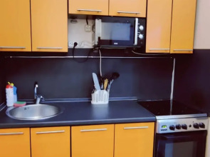 Апартаменты Уютная студия у парка Победы