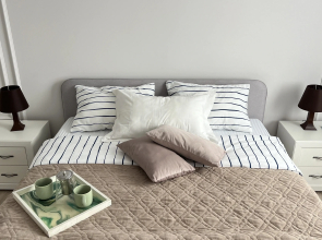 Квартира современная. Апартаменты Клен