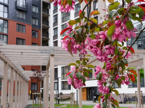 Апартаменты Iris by Pavlov