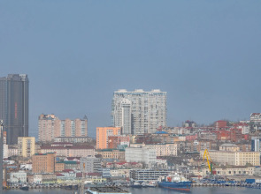 Апартаменты на высоком этаже с видом на мост, недалеко от центра. Брянская 18.