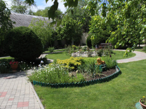 Отель Золотой Лев