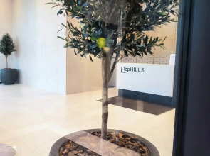 Бизнес-апартаменты  Lora Home на Нагорной