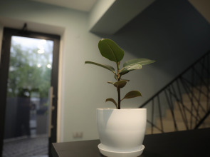 Бутик-отель AM Hotel