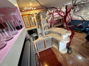 Квартира Сакура в Хибинах