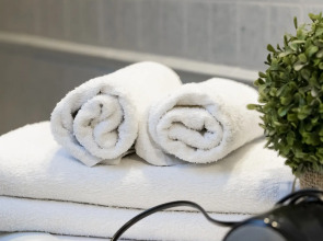 Апартаменты двухуровневые в тихом районе Амалиенау