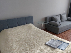 Uyutnaya V Tsentre Goroda Na Golosova 44 Flat