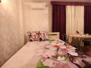 Апартаменты Золотой Шар на Революционной 2