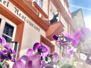Hotel & Bio Restaurant Schwarzer Bock Boutique-hotel