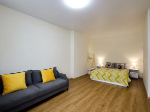 Апартаменты с видом на Неву в центре города