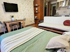 Квартира - студия в тихом районе города